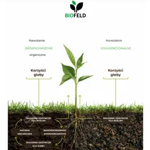 Preparaty Mikrobiologiczne