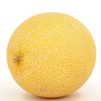 Melon