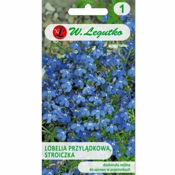 Lobelia przylądkowa Stroiczka niebieska 0,2g  L