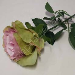 Róża pojedyńcza 74cm mix
