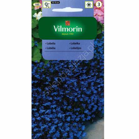 Lobelia blue carpet 0,5g Vilmorin