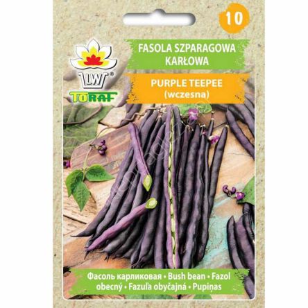 Fasola Purple Teepee zwykła karłowa fioletowa 30g Toraf