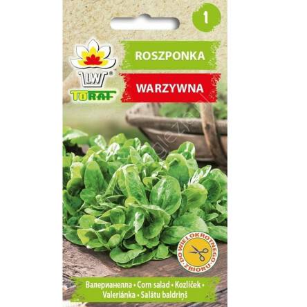 Roszponka Verte de Cambral 1g Toraf