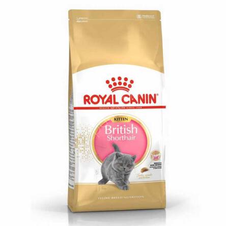 Royal Canin British Shorthair Kitten 0,4kg