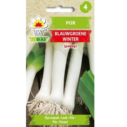 Por Blauwgroene Winter Alaska 1g T 