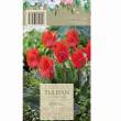 Tulipan Red Riding 12-14 5szt DCO