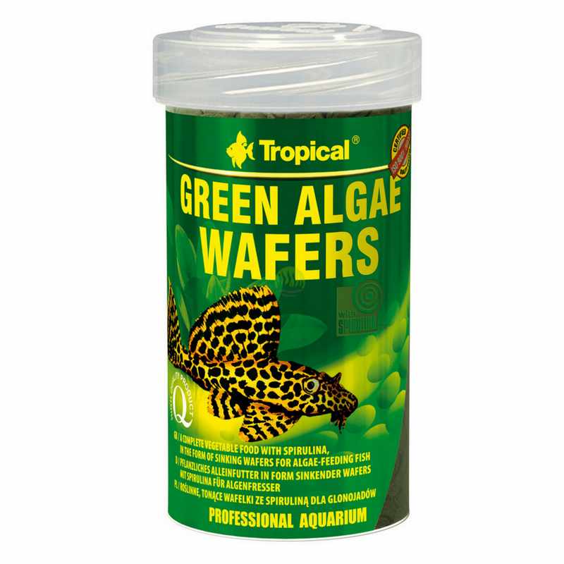 Фото - Корм для риб Tropical Pokarm dla ryb akwariowych Green Algae Wafers 250m 