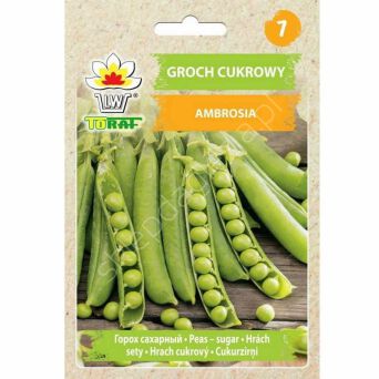 Groch Ambrosia cukrowy 50g T 