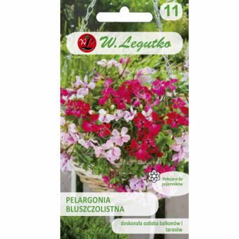 Pelargonia bluszczolistna Speedy F2 miesza 5nas  L