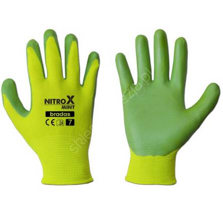 Rękawiczki Nitrox Mint  8