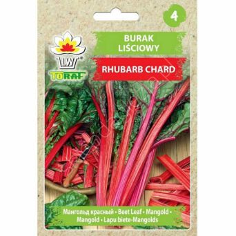 Burak liściowy Rhubarb Chard 5g T