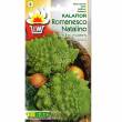 Kalafior Romanesco Natalino 1g Toraf