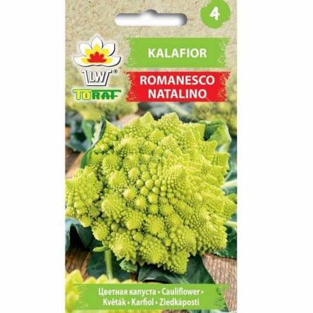 Kalafior Romanesco Natalino 1g Toraf