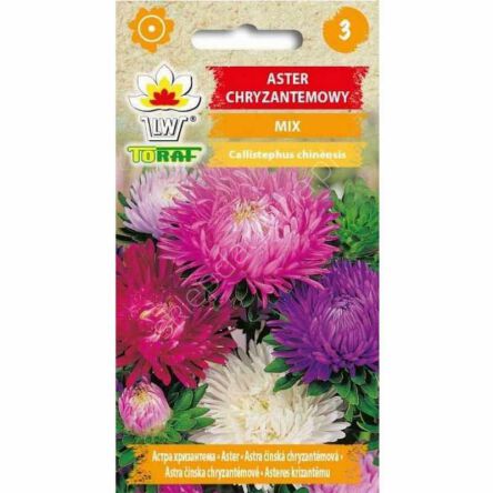 Aster chryzantemowy mix. 1g T