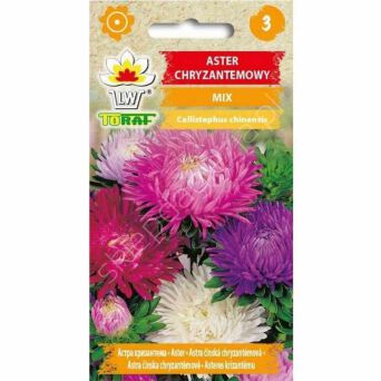 Aster chryzantemowy mix. 1g T