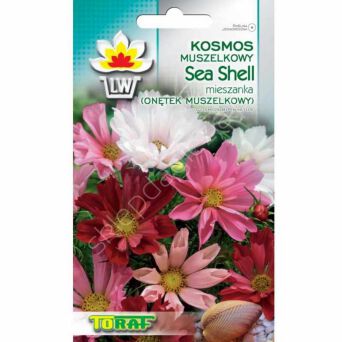 Onętek Sea Shell 0,5g T
