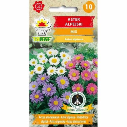 Aster alpejski  mix. 0,5g T