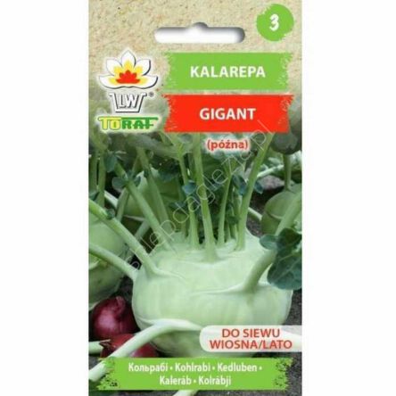 Kalarepa Gigant 2g T