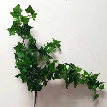 Hedera pnącze 55cm