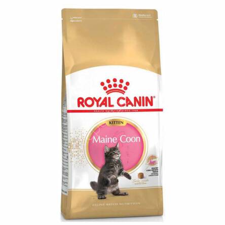 Royal Canin Maine Coon Kitten 36 0,4kg