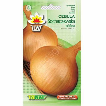 Cebula Sochaczewska 5g T 