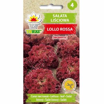 Sałata Lollo Rosa 1g T 