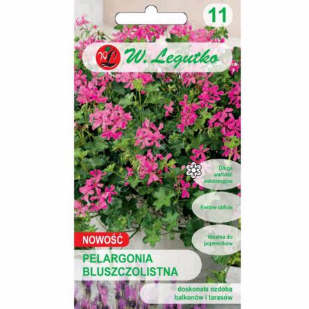 Pelargonia bluszczolistna Fuchsia F1   L