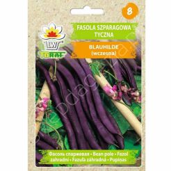 Fasola szparagowa fiolet Blauhilde tyczna 10g T