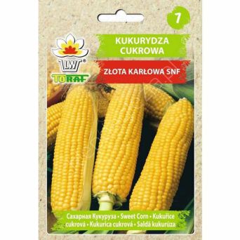 Kukurydza Złota karłowa 20g T 