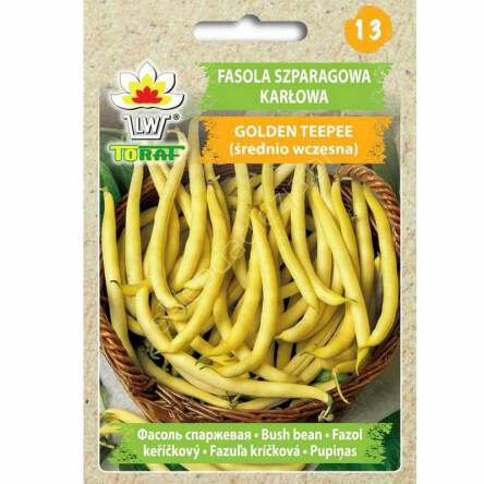 Fasola Golden Teepee zwykła karłowa 30g Toraf