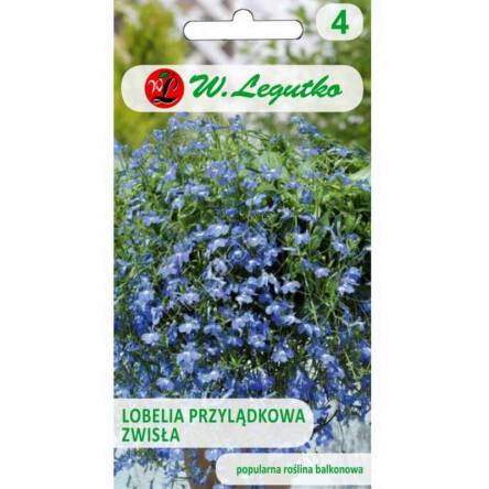 Lobelia zwisła niebieska 0,20g L 