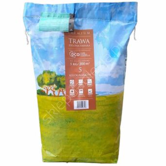 Trawa nasiona Zielona Sahara 5kg Dco