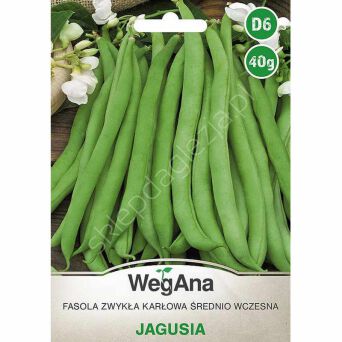 Fasola szparagowa zielona Jagusia karłowa 40g W