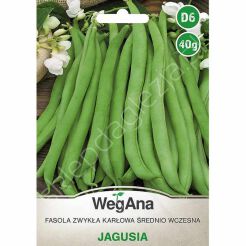 Fasola szparagowa zielona Jagusia karłowa 40g W