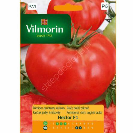 Pomidor Hector F1 0,1g Vilmorin 