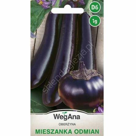 Oberżyna mieszanka odmian 1g W