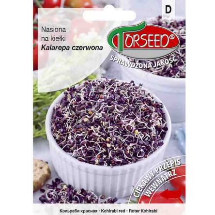 Nasiona na kiełki Kalarepa Delikatess Blauer 10g Torseed, kiełkownik.