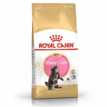 Royal Canin Maine Coon Kitten 36 2kg