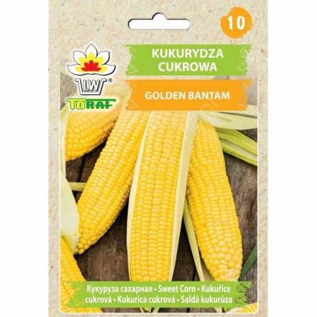 Kukurydza Golden Bantam 20g Toraf