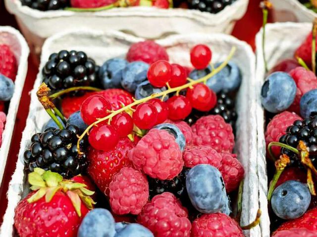 Osiągnij obfite plony z bezpiecznym nawożeniem: Najlepsze nawozy dla truskawek, borówki i winogron
